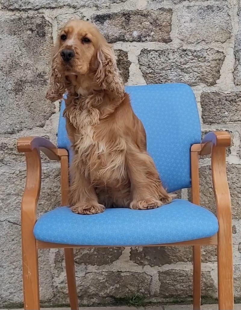 Violette Du Clos De L'Ecotay